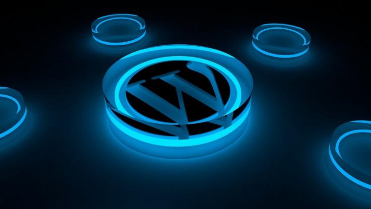 Unlocking Potential: Devzet’s WordPress Website Alchemy